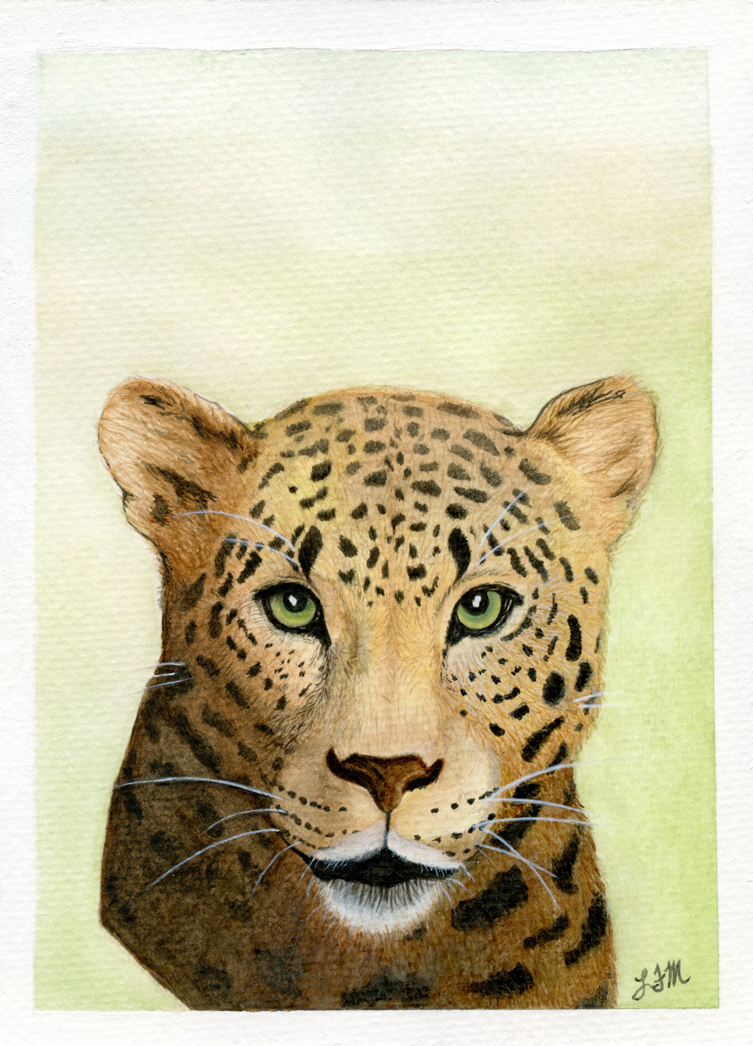 Jaguar Portrait - Watercolor